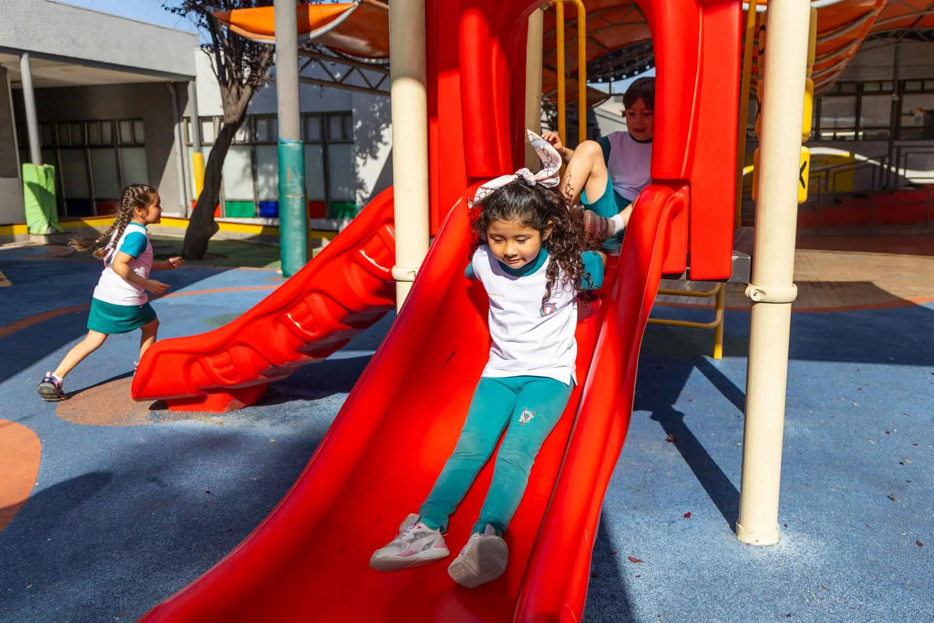 Motor Skills and Physical Education